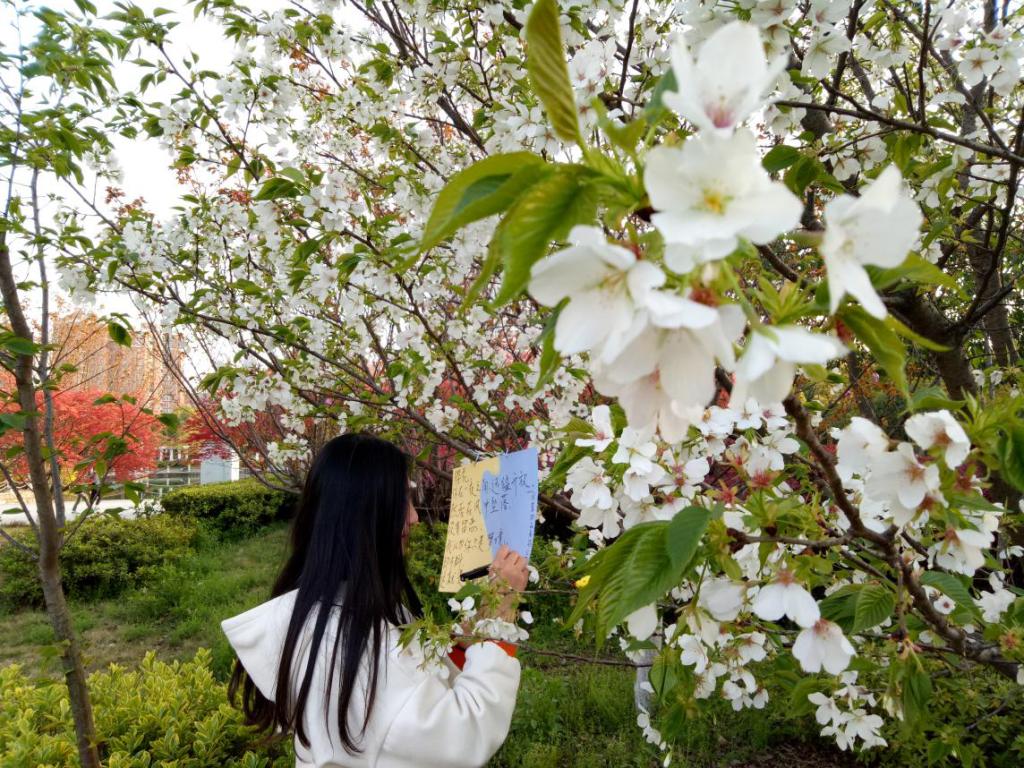 轻工大学子为绿植写诗引关注